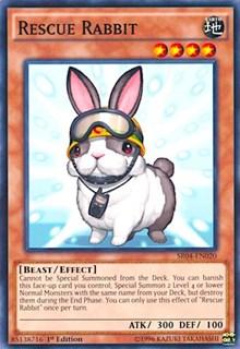 Rescue Rabbit