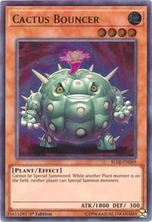 Cactus Bouncer