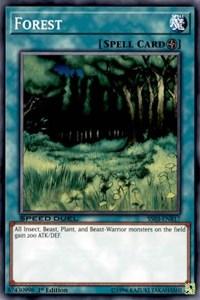 Forest