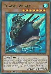 Citadel Whale (Green)