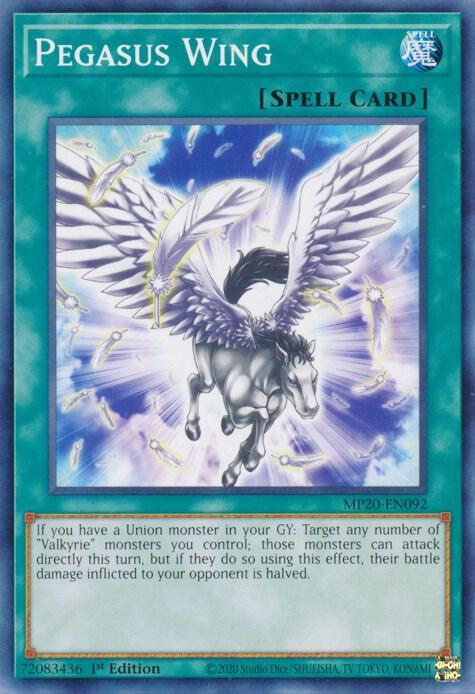 Pegasus Wing