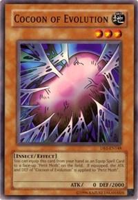 Cocoon of Evolution