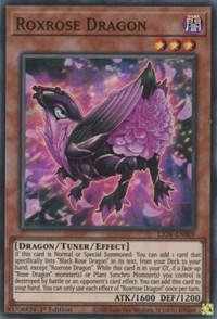 Roxrose Dragon