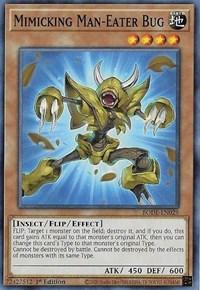 Mimicking Man-Eater Bug