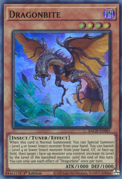 Dragonbite