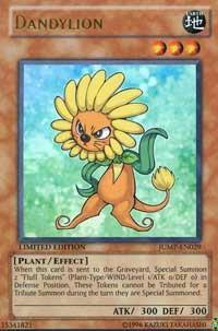 Dandylion
