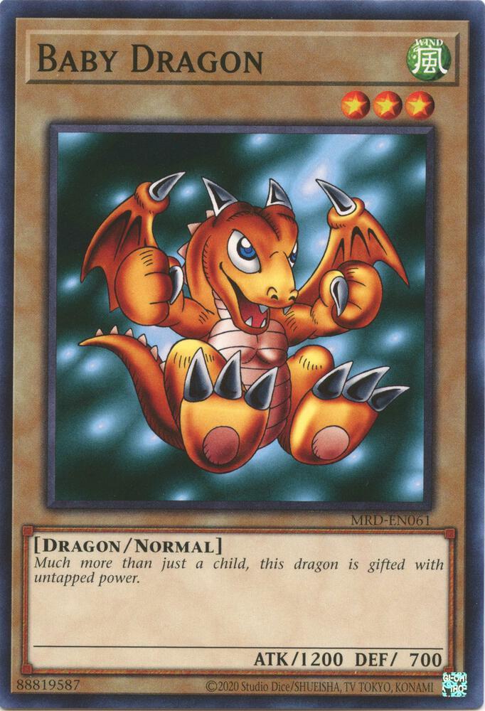 Baby Dragon