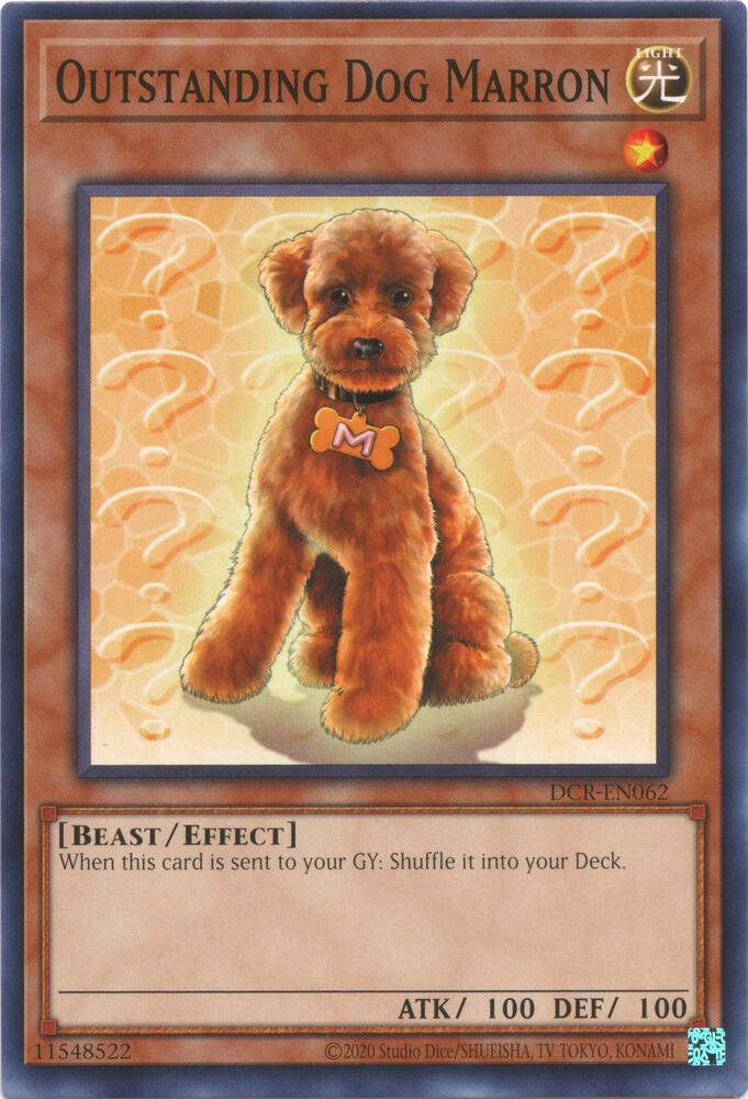 Outstanding Dog Marron