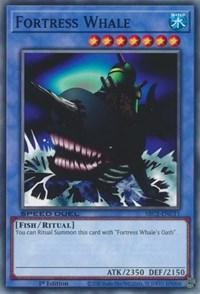 Fortress Whale