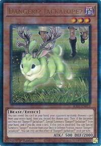 Danger!? Jackalope? (PUR)