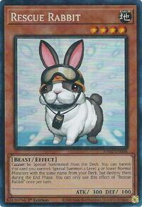 Rescue Rabbit (PCR)