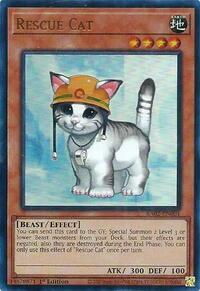 Rescue Cat (UR)