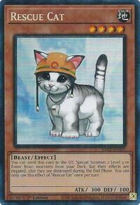 Rescue Cat (PCR)
