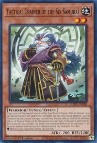 Tactical Trainer of the Six Samurai