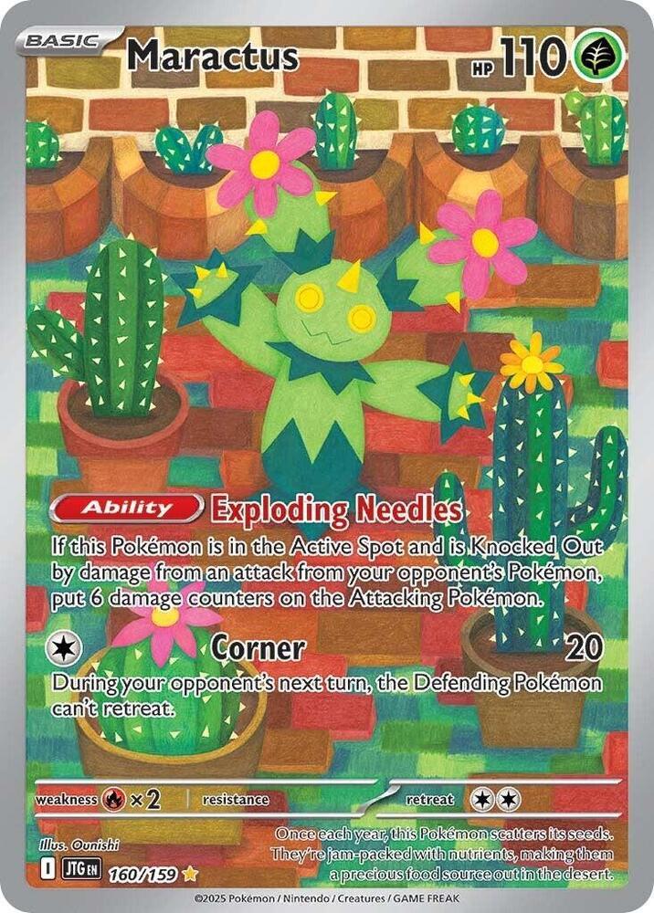 Maractus - 160/159