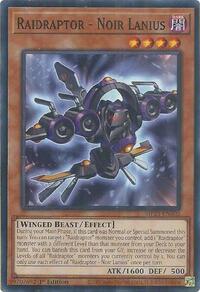 Raidraptor - Noir Lanius