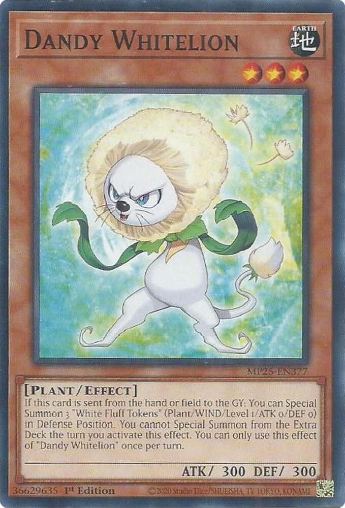 Dandy Whitelion