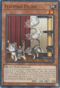 Flipping Feline