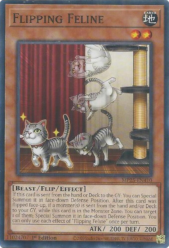 Flipping Feline