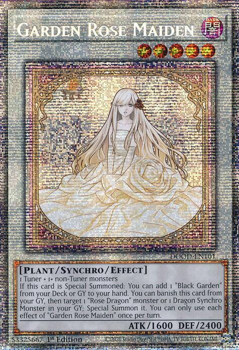 Garden Rose Maiden