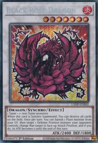 Black Rose Dragon (L5DD-ENS02)