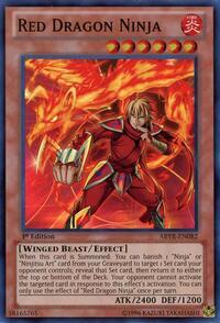 Red Dragon Ninja