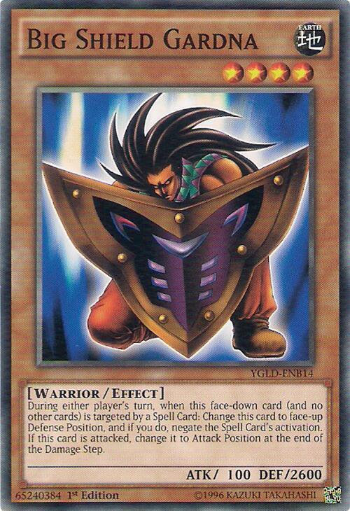 Big Shield Gardna