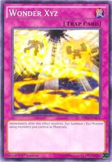 Wonder Xyz