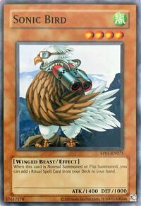 Sonic Bird