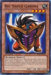 Big Shield Gardna